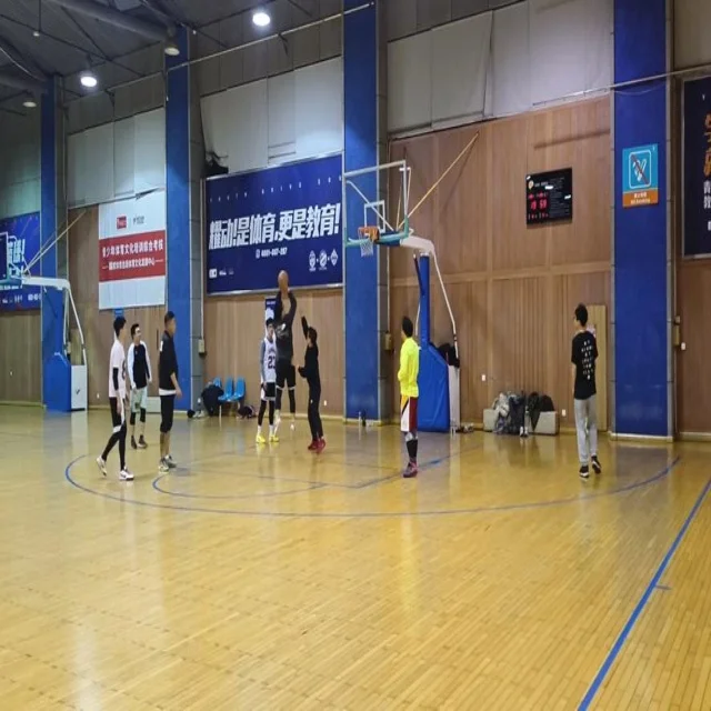 全球体育赛事动态分析：揭秘最新体育资讯热点